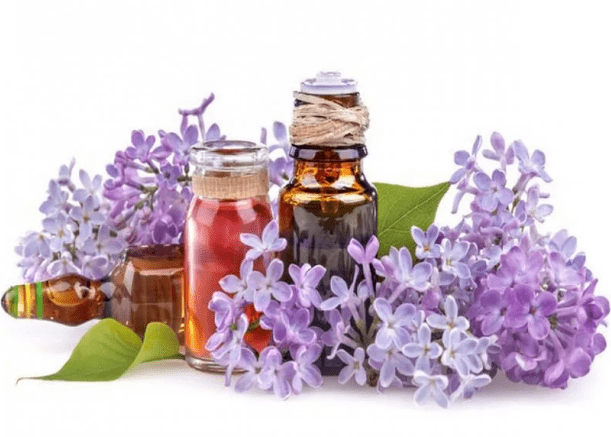 Lilas -Infusion